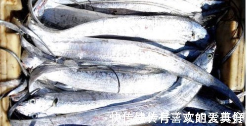 买带鱼也有技巧，教你3招选带鱼，保证买到新鲜的带鱼