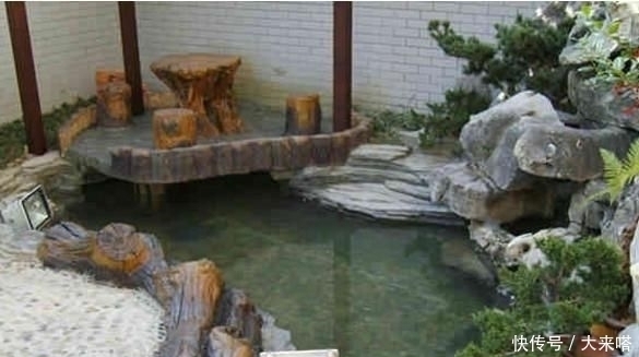 有庭院的人都开始造景观鱼池了美哭了,回家也要挖一个