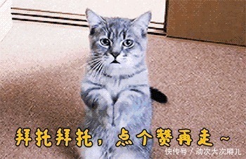 a951|老话“不怕贼偷,就怕贼惦记,后半句才是精华,读后长见识了!