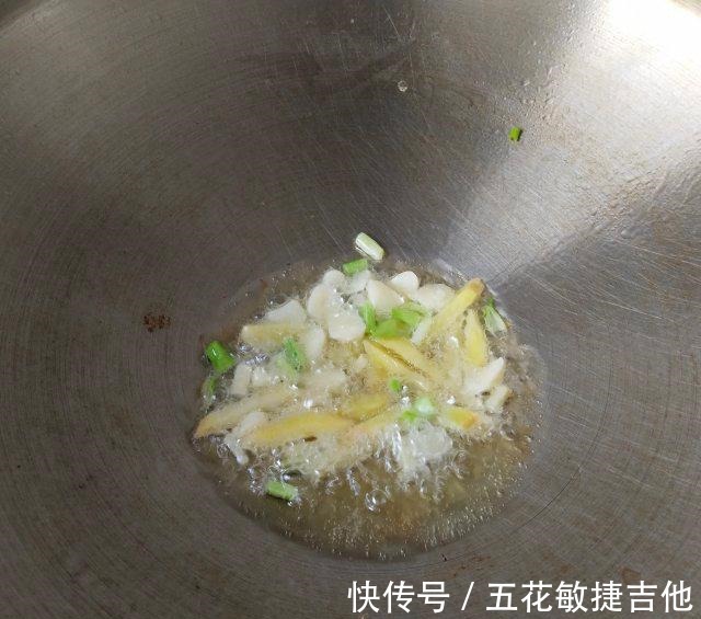 寻氏肌蛤|辣炒海瓜子，一口一个，很鲜美！