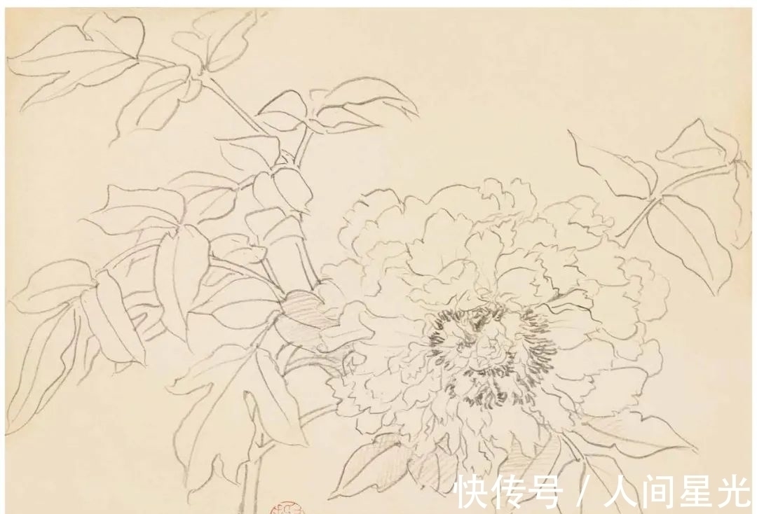 绘画作品$「津门网」陆抑非先生课堂上都给他的学生传授了什么样的秘籍?