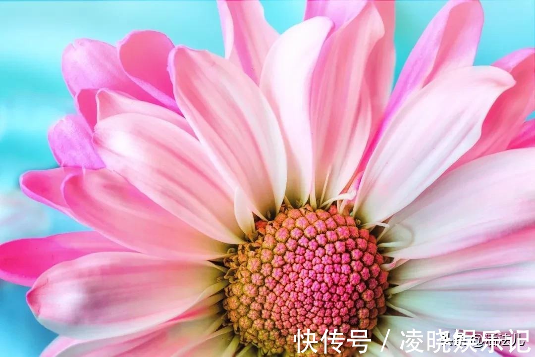 月经|不补身体虚,一补就上火,你可能是上热下寒了,4招帮你搞定
