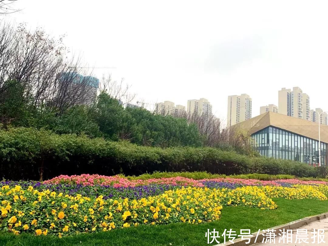 长沙雨花区：柴米油盐酱醋茶，一枝一叶总关情|平安年，情更浓 | 巡查员