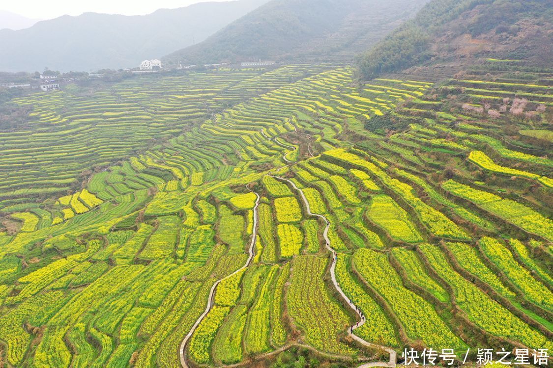 高山村落，樱花盛开，天空之境，天上人间