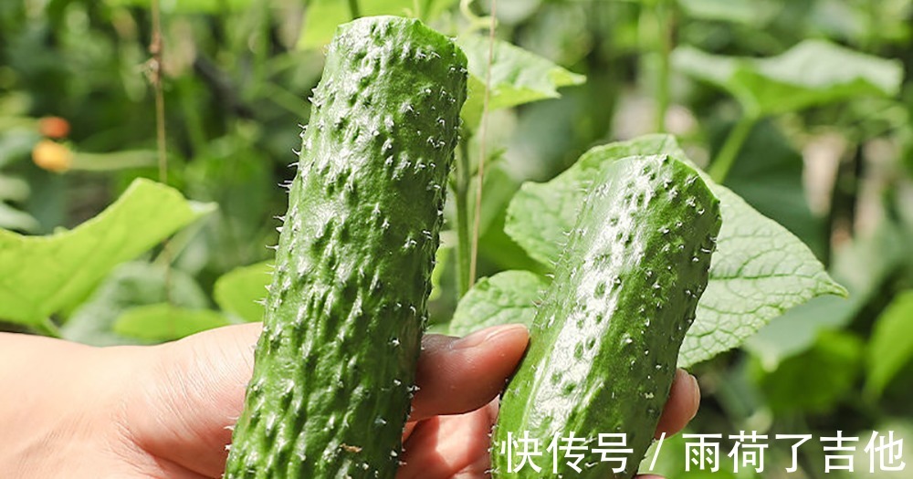 大蒜|三伏天吃什么，这几种食物不能少，价钱再贵，也要买给家人吃！