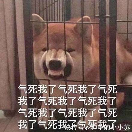 穷人|超市里“最不起眼”的几款护肤品，穷人看不起，有钱人却抢着买
