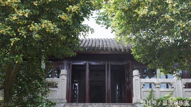 “桂花门前栽,贵人立门内”,桂花树这4个地方不宜栽,看完懂了