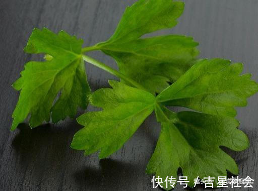 空干|吃芹菜，很多人都把最有营养的部分扔了，简单一蒸，我家都爱吃