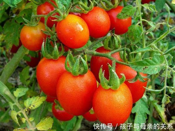 血栓|甘油三酯的“天敌”找到了!没事多吃这5种,血栓或许不敢来找事