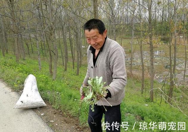 男子|阳气生于脾、根于肾，常吃3种食物，脾、肾同补