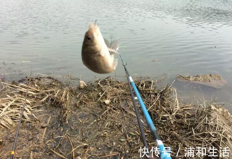 浮漂|盯紧你的浮漂!冬天野钓别等黑漂,这样的小信号也能中鱼