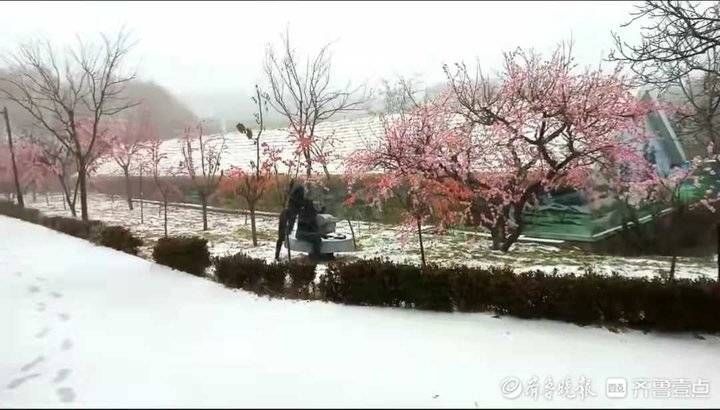 雾凇|济南跑马岭景区今冬首现雾凇！齐鲁雪乡已经“在路上”