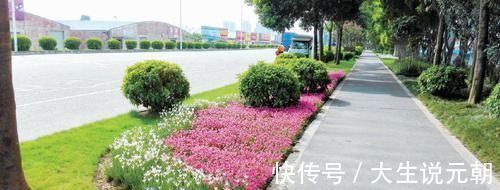 种植的茉莉花如何安全越冬,技巧很重要,韭兰什么时候分株好呢