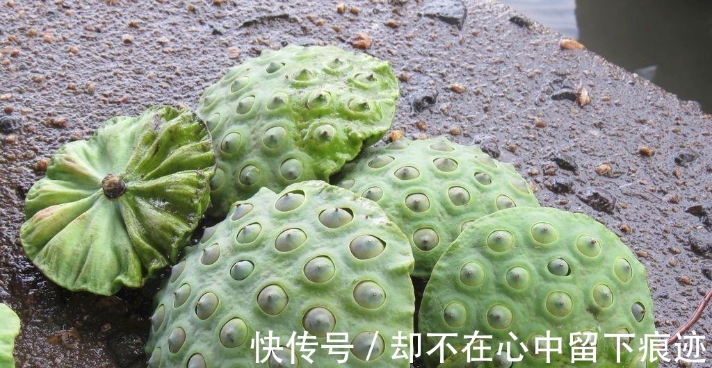 多辛|明日中伏,防暑降温有讲究,饮食少苦多辛加点酸,不懂规矩要吃亏