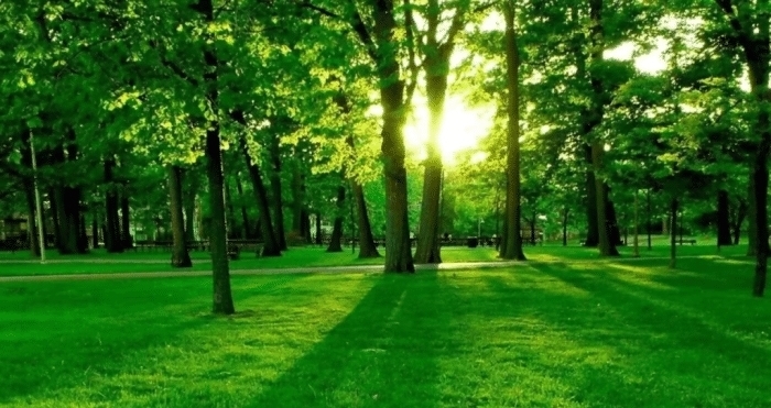 双胞胎兄弟 盘点地球那些事:一天不是24小时,地球还有“双胞胎兄弟”?