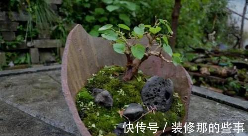 个性|破壶烂瓦做盆,每一个都破出了个性