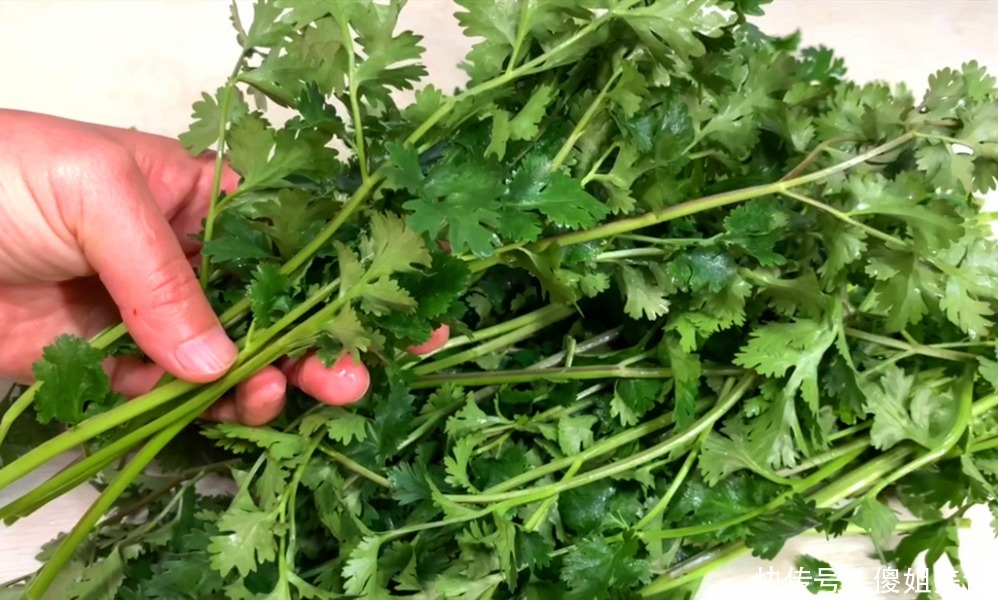 香菜|香菜别再放冰箱保存了,教你一招,芫荽一冬天都新鲜翠绿,很实用