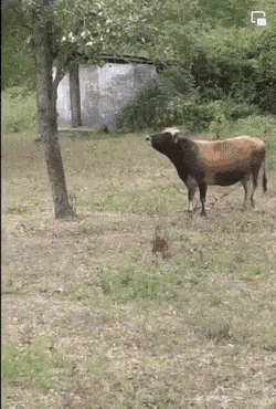 |搞笑GIF:为什么是在广东打工发现自己漂亮