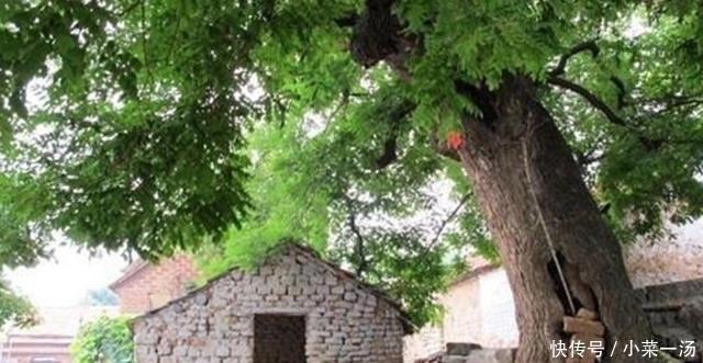 46岁查出肝癌的他,3件事情做好,今年55岁仍然活的很好