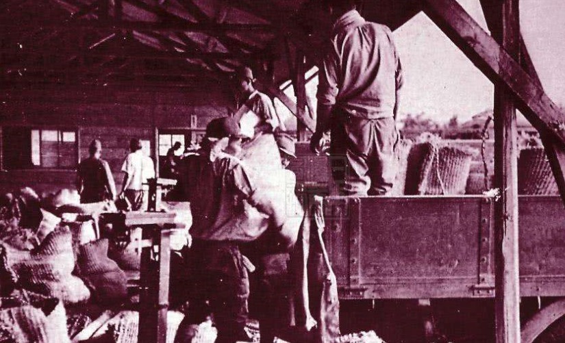 带领|他是东北大地主,带领全家抗日,捐出土地和财产,6个儿子都牺牲