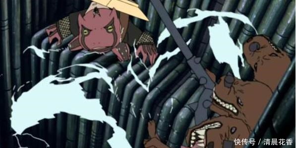 潜入|潜入雨之国,自来也为何是通灵蛤蟆健,而不是蛤蟆文太战斗呢