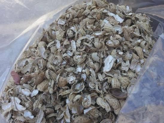 4种“壳”每家都有,丢盆里疏松透气,2年不用换盆,长得旺!