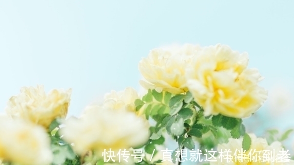 孟尝君|遇到小人不要怕,就学会这4招,再狡猾小人也不怕,让他服服帖帖