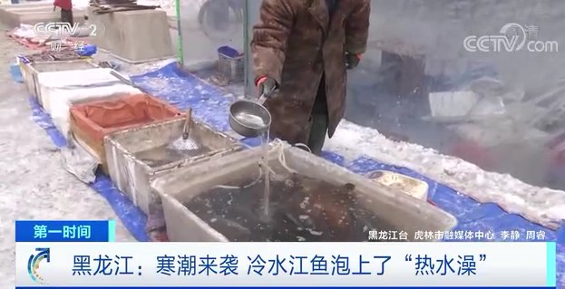 -30℃的东北奇观：活鱼得“煮”着卖！网友：这不太好掌握火候啊→