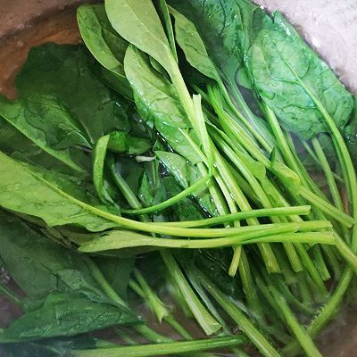 菠菜|什锦芝士杯