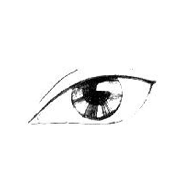 卧蚕|秘诀:眼型对美貌有多重要?明白眼型才懂什么眼妆最合适