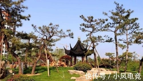 咽津!范仲淹很罕见的两篇佳作,语言简练,朗朗上口,更值得收藏和欣赏