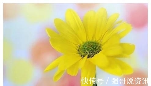 生肖鸡|2天后，旧爱离去，月老牵线，依然等待，彼此温暖，无话可说