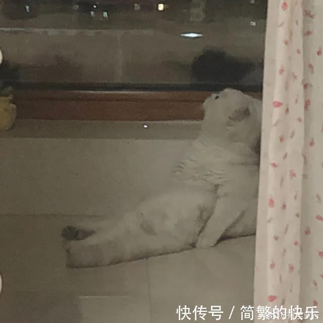 |有被冒犯到 冷段子1770