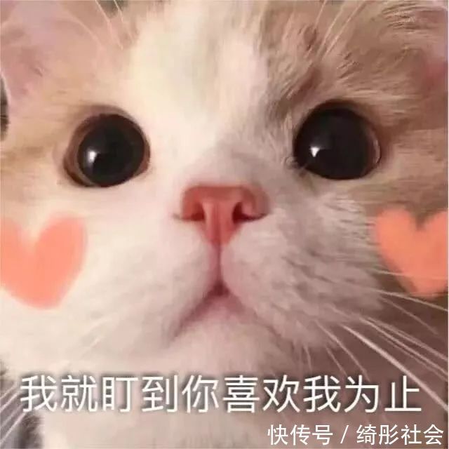肖战粉丝发内部录音,暴露肖战被“封杀”真相,事实令人大跌眼镜