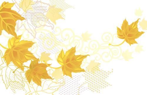 理瀹骈文|三伏已过，秋意未满，只要你做对，就能把晒黑的老皮、皱皮都去掉