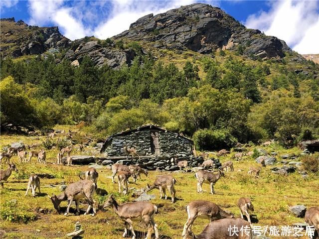 稻城亚丁好玩的地方，横断山脉的精华美景，蓝色星球上最后的净土