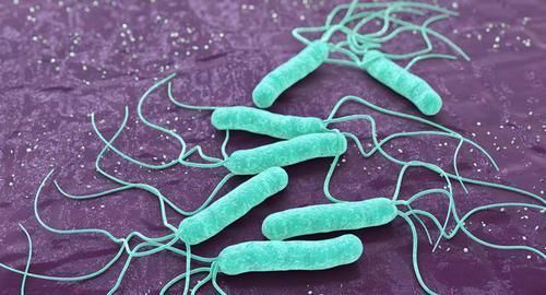 慢慢|养胃“冠军”已发现,你若喜欢吃,冲走幽门螺杆菌,胃慢慢变强壮