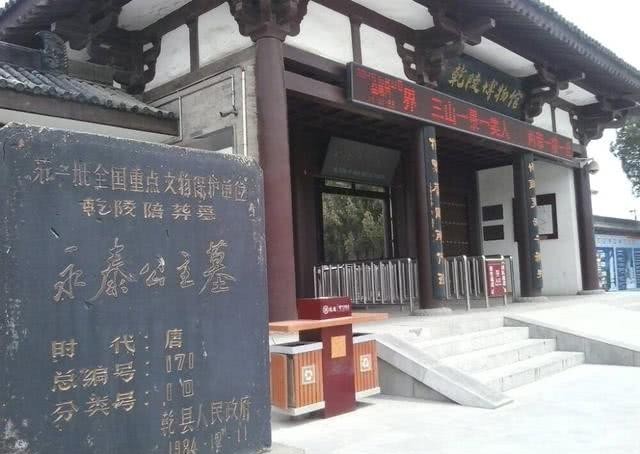 李仙蕙|武则天是弑子屠孙的暴君？千年墓志出土引热议，专家：女皇或蒙冤