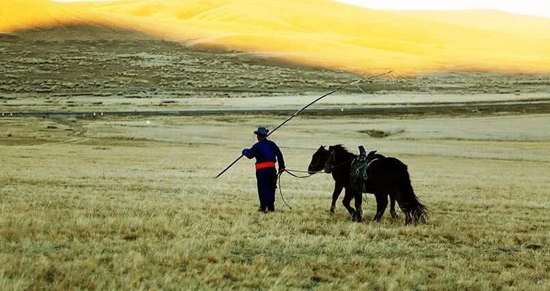 考古队|外国牧民发现一幅“天书”,考古队一看:快去中国找专家