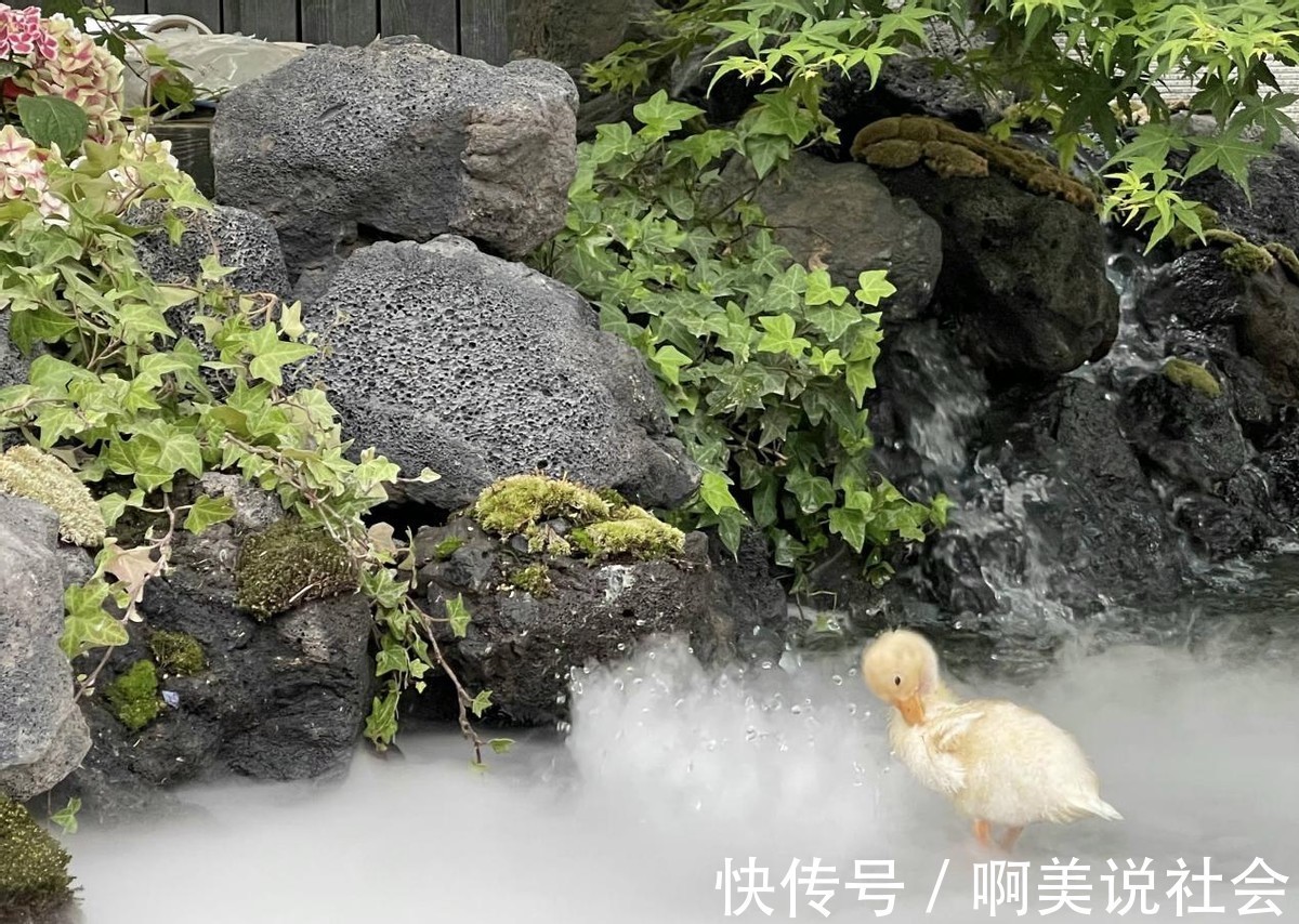 警察|“鬼才之眼”王昱珩一戰成名三戰封神，助警察成功破案，如今咋樣