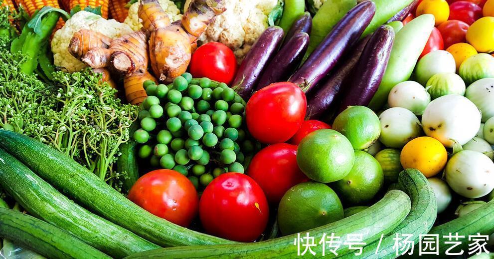 种植|立秋后,种上几样健康蔬菜,秋冬季节天天吃新鲜菜