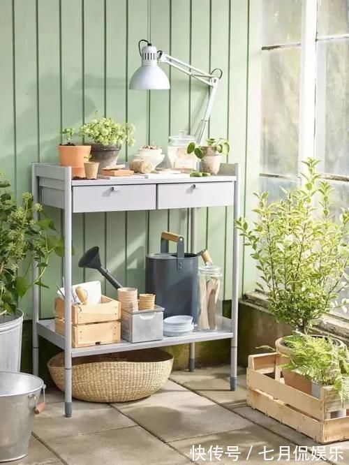 闲人|这样的阳台,那院子我也不换,美得太过分,今生只做个闲人了!