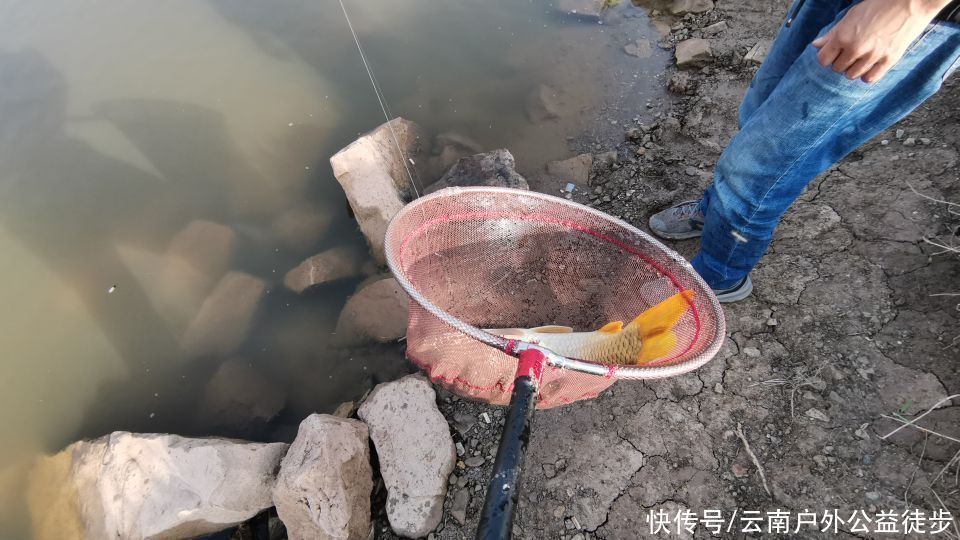 昆明|昆明周边楚雄鱼跳楼水库夜钓,老坛玉米挂钩,天亮终获野生大鲤鱼