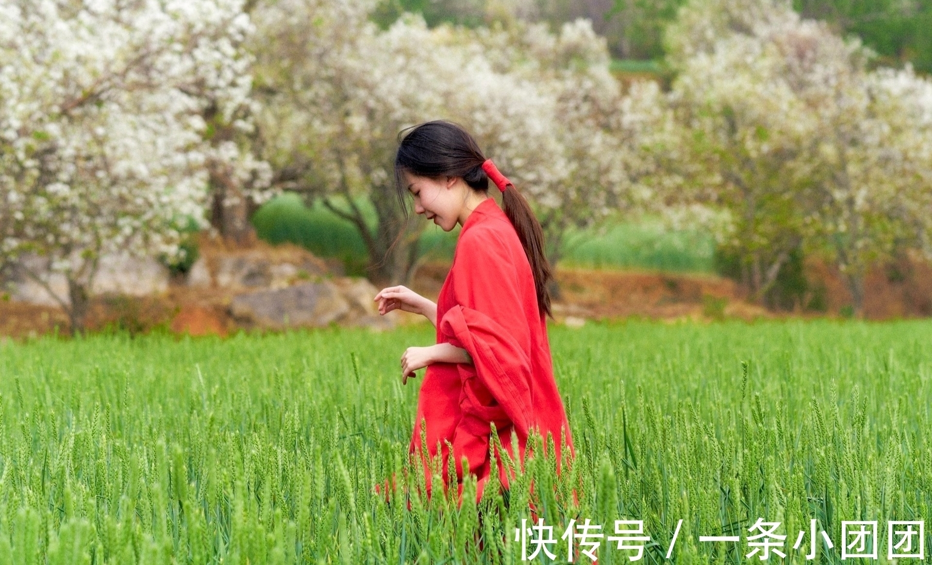 格律$五言格律:雁去寒江远,云沉细浪愁。疏林添暮色,谁伫望浮鸥