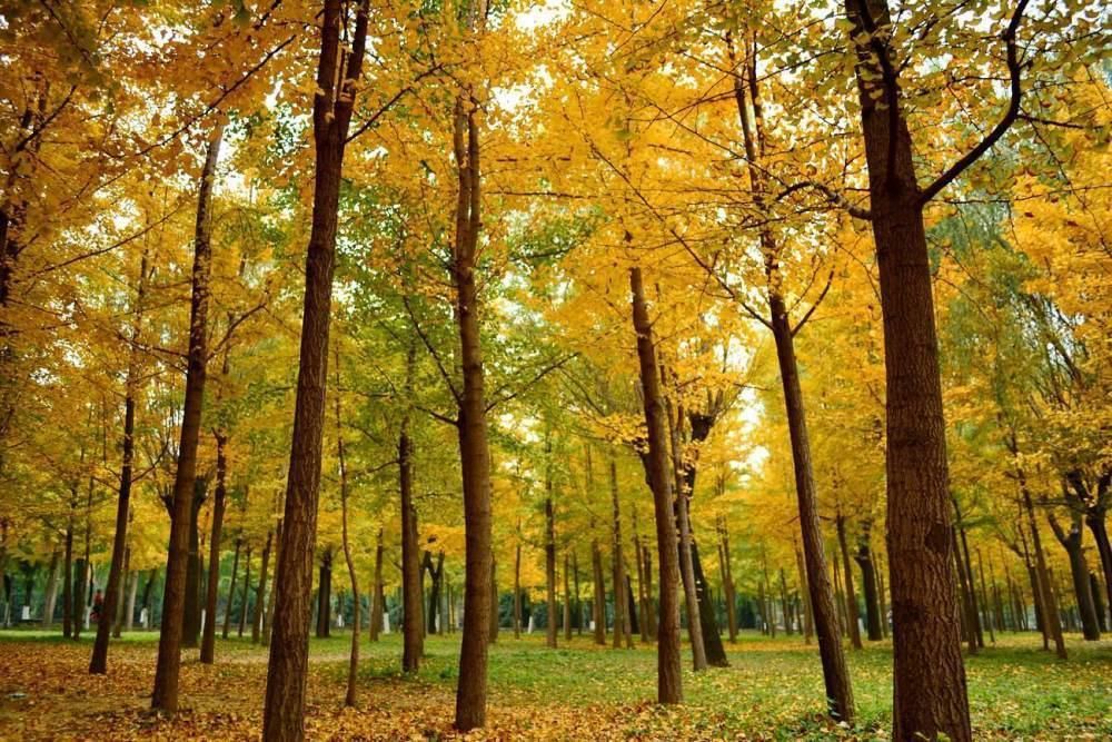 如果地球迎来一场持续10000年的雨，对人类有什么影响