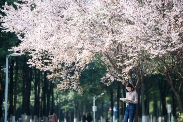 格拉斯哥大学|电子科技大学2021年本科招生计划增加，新增“珠峰计划”！