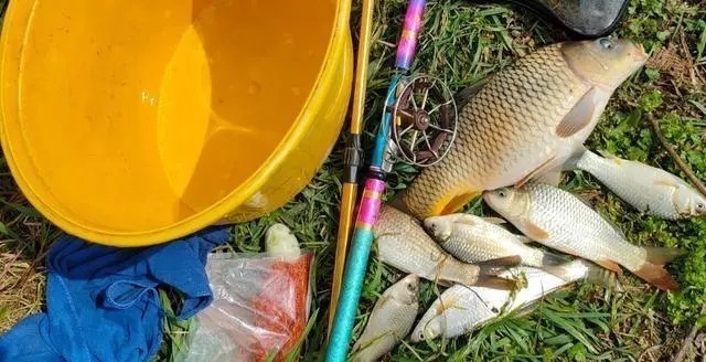 钓鱼|野钓“必选钓位”教学,用盘车鱼竿钓鱼,学会就能钓获野生大鲤鱼