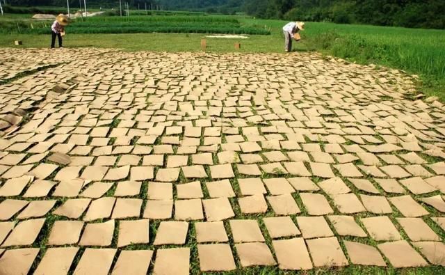 线路|四会这条岭南原乡文化游线路，带你实现桃花源的梦想