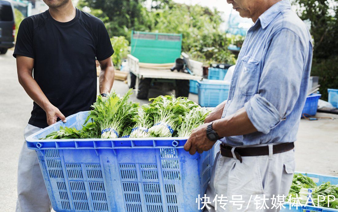 十荟团|社区团购这条路上，美团、拼多多必有一战？