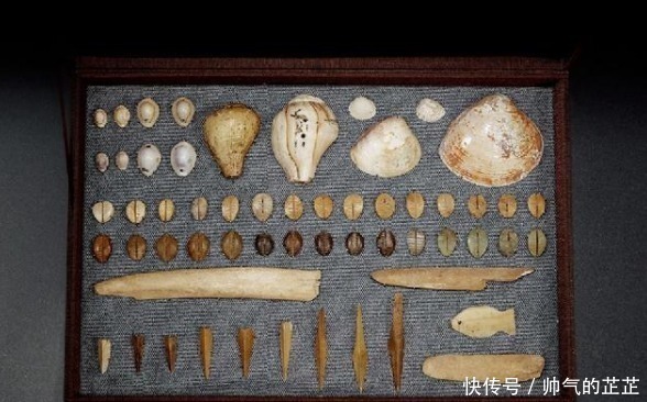 货币|古代贝壳当货币，为什么穷人不去多捡点，让自己变得富有